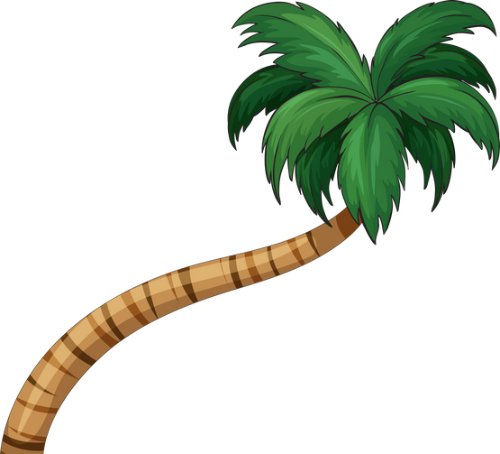 Coconut Tree Illustration